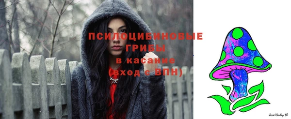 mix Горнозаводск