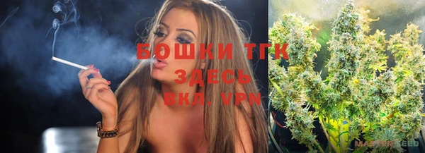 альфа пвп Гусев